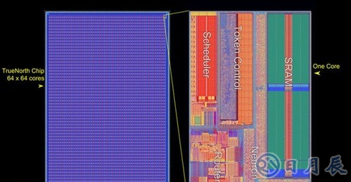 IBM開發(fā)超級(jí)神經(jīng)元模擬芯片